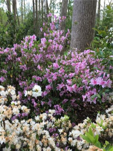 1935 Shrader Court, Lawrenceville, GA 30044