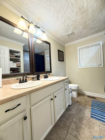 3915 Oak Breeze Road, Southside, AL 35907