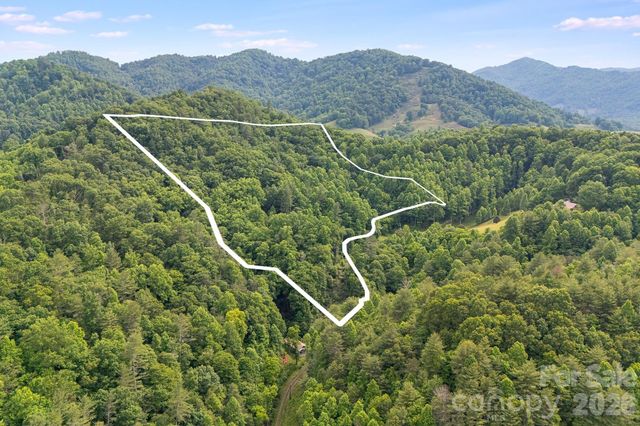 99999 Acorn Drive, Marshall, NC 28753
