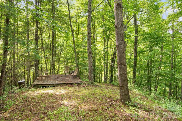 99999 Acorn Drive, Marshall, NC 28753