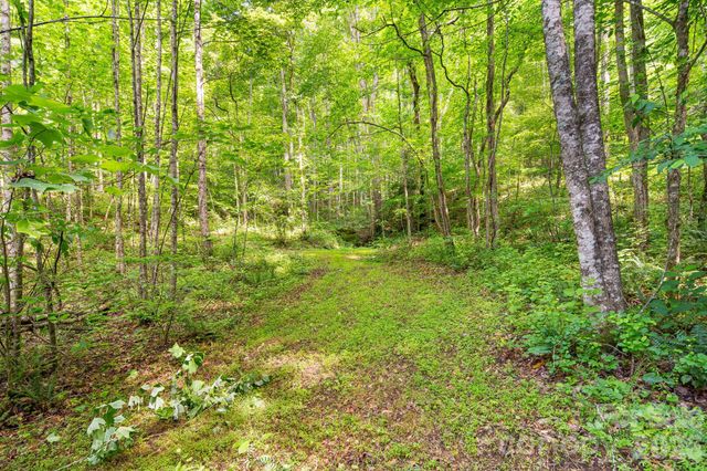 99999 Acorn Drive, Marshall, NC 28753