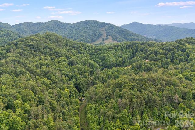 99999 Acorn Drive, Marshall, NC 28753