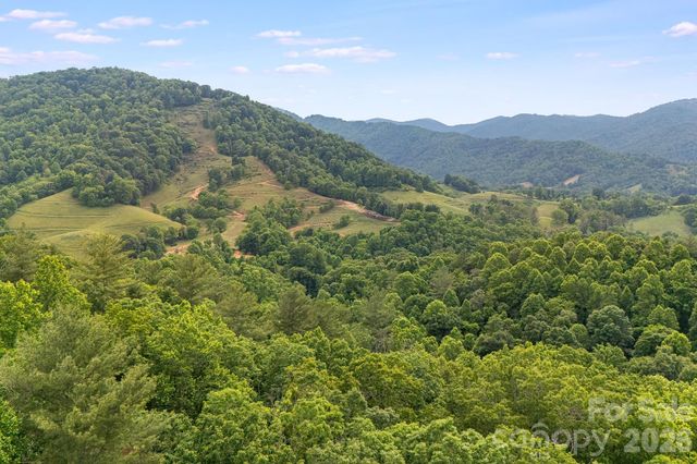 99999 Acorn Drive, Marshall, NC 28753