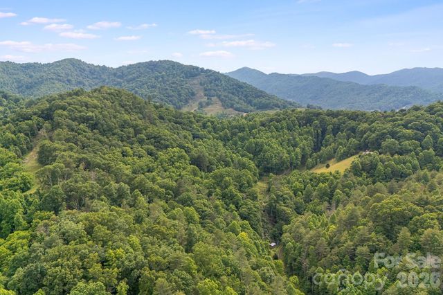 99999 Acorn Drive, Marshall, NC 28753