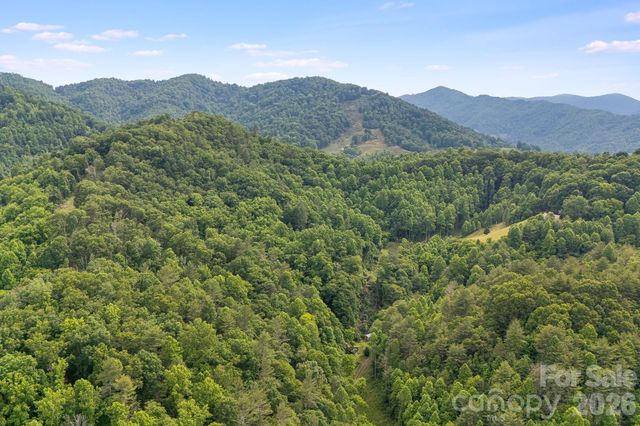 99999 Acorn Drive, Marshall, NC 28753