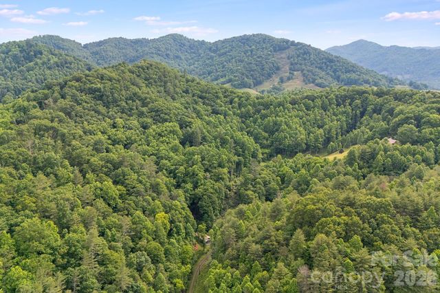 99999 Acorn Drive, Marshall, NC 28753
