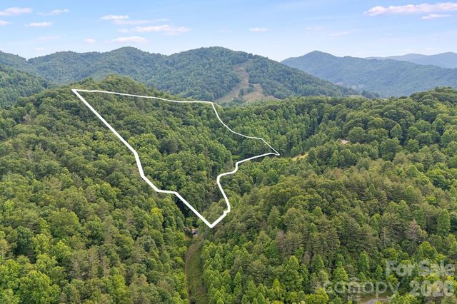 99999 Acorn Drive, Marshall, NC 28753