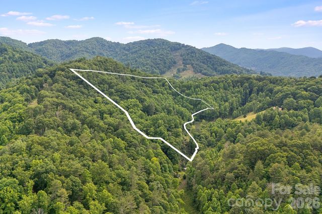99999 Acorn Drive, Marshall, NC 28753