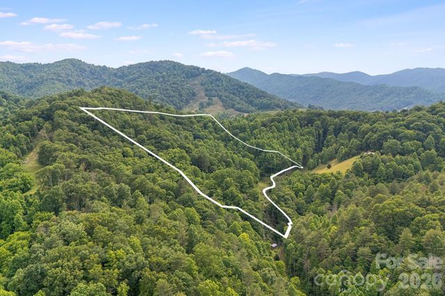 99999 Acorn Drive, Marshall, NC 28753