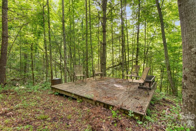 99999 Acorn Drive, Marshall, NC 28753