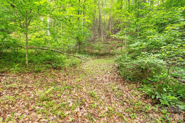 99999 Acorn Drive, Marshall, NC 28753