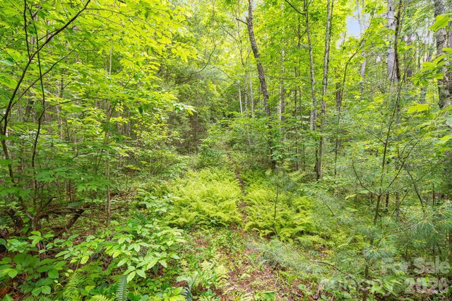 99999 Acorn Drive, Marshall, NC 28753