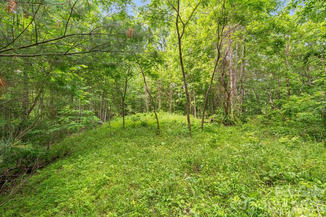 99999 Acorn Drive, Marshall, NC 28753