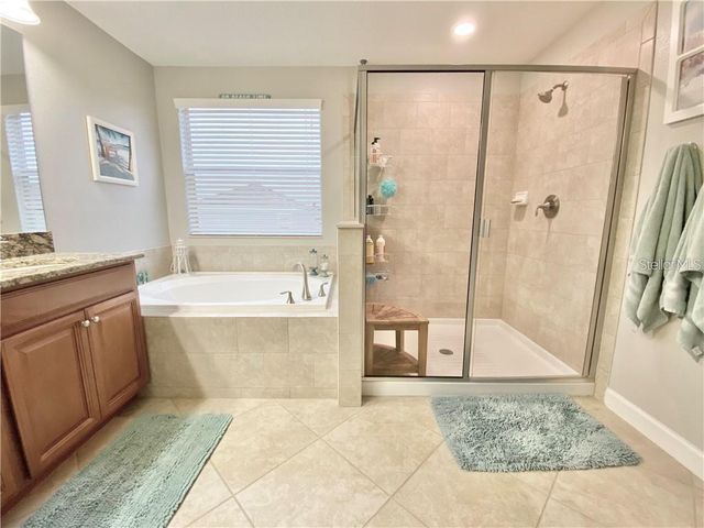 1041 OLIVETO VERDI COURT, Brandon, FL 33511
