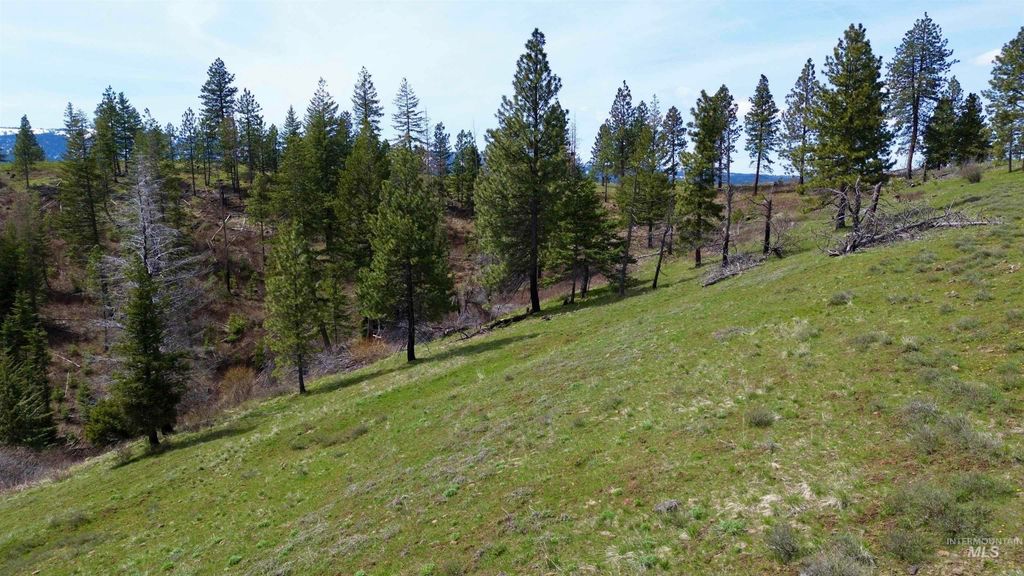 TBD Hwy 204, Elgin, OR 97827 photo 12