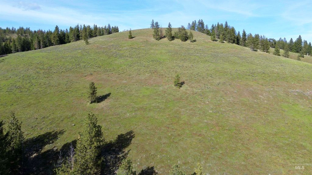 TBD Hwy 204, Elgin, OR 97827 photo 17