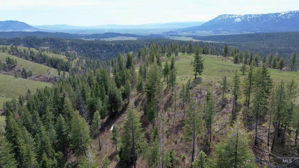 TBD Hwy 204, Elgin, OR 97827 photo 20