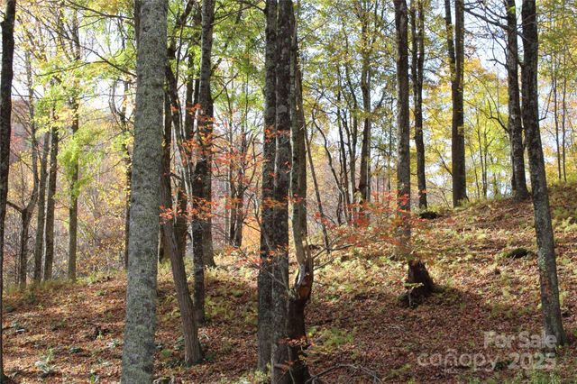 1571 Roaring Fork Road, Burnsville, NC 28714