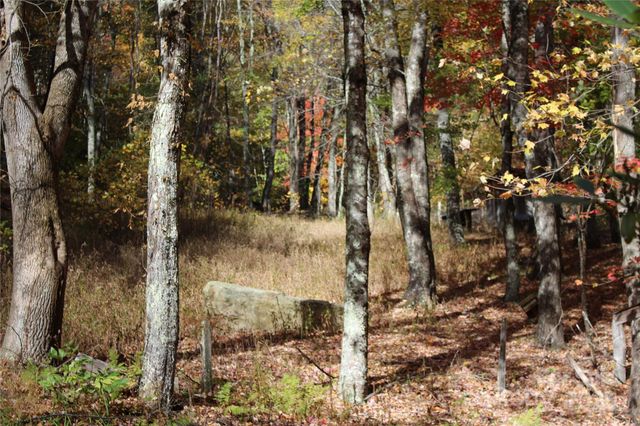 1571 Roaring Fork Road, Burnsville, NC 28714