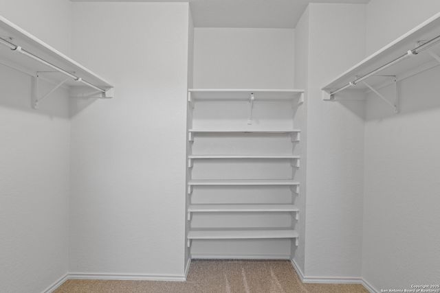 1203 Prairie Grass, San Antonio, TX 78245