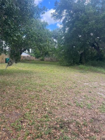 E JACKSON AVENUE, Mount Dora, FL 32757