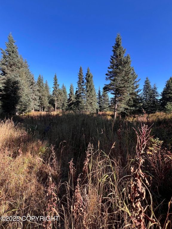 L6 Shegota Loop, Ninilchik, AK 99639