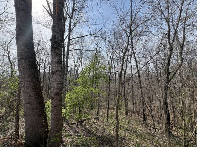 760 Rose Hill Rd, Pulaski, TN 38478