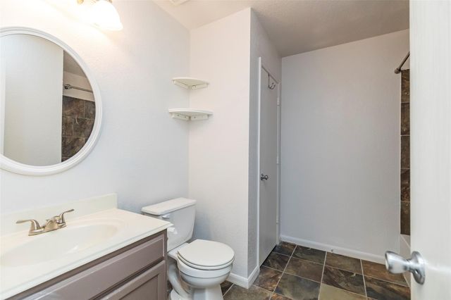 21202 Fire Wind Court, Spring, TX 77379