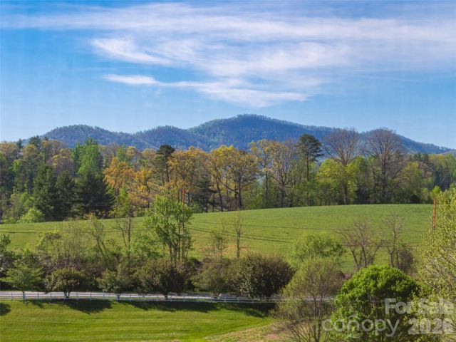 17 Dreambird Drive, Leicester, NC 28748
