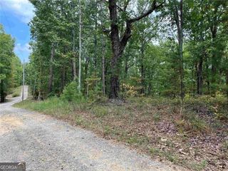 32 Antler Court, Ranger, GA 30734