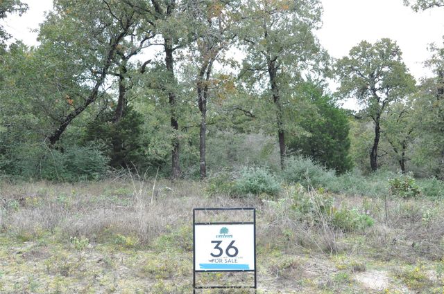 TBD OakView LN, Thrall, TX 76578
