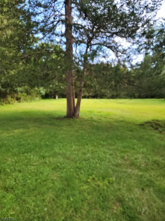 67 Woodland Rd, Mendham Twp., NJ 07960 — photo 3