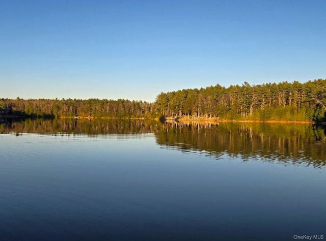 5 Summit Drive, Yulan, NY 12792