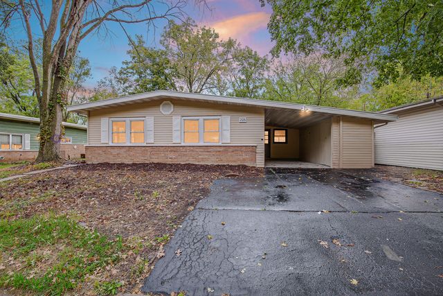 206 Monee Road, Park Forest, IL 60466