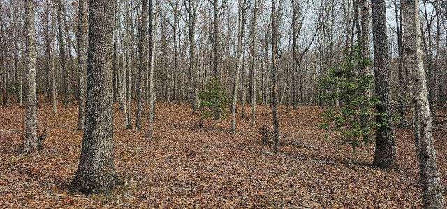 1147 Woods Rd Road, Dunlap, TN 37327