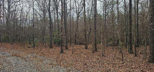 1147 Woods Rd Road, Dunlap, TN 37327