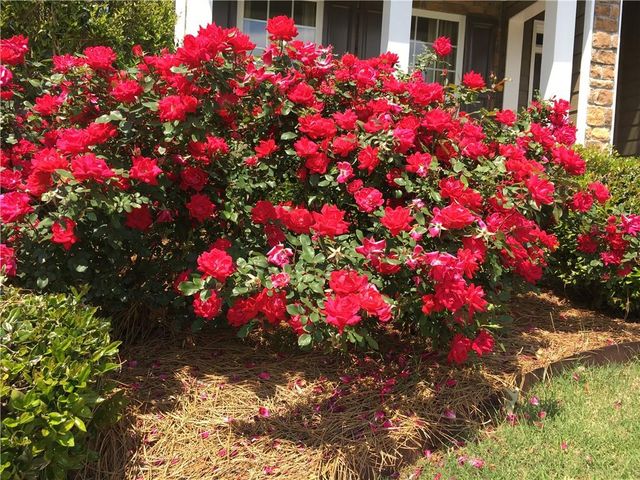 600 Pebble Road, Canton, GA 30114
