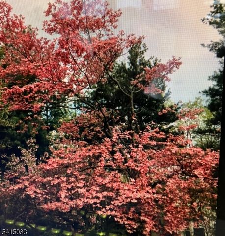 28 Overlook Rd, Little Falls Twp., NJ 07424