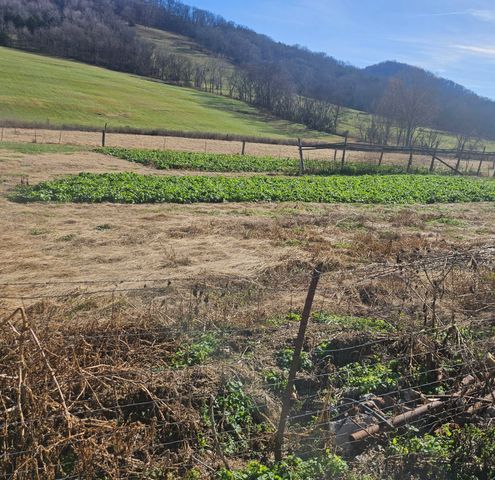 1 wilburn hollow rd, Riddleton, TN 37151