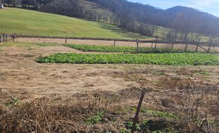 1 wilburn hollow rd, Riddleton, TN 37151