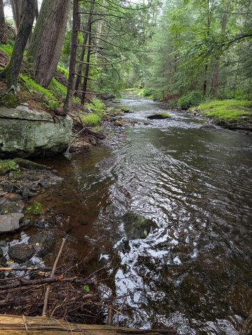 50 Park Road, Yulan, NY 12792