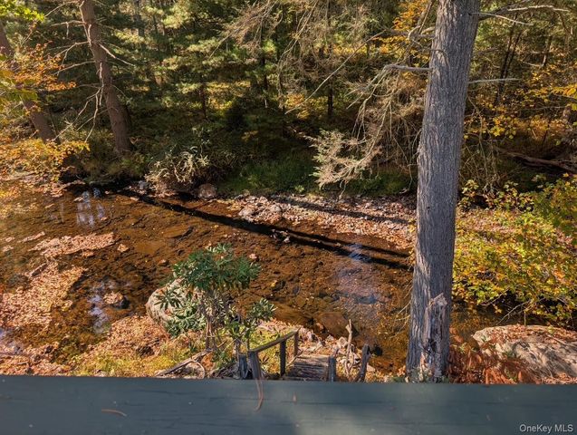 50 Park Road, Yulan, NY 12792