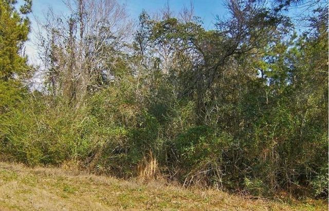 00 Park View, Hempstead, TX 77445