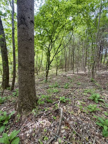 4190 Fattybread Branch Rd, Williamsport, TN 38487