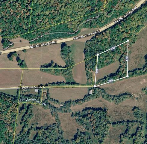4190 Fattybread Branch Rd, Williamsport, TN 38487