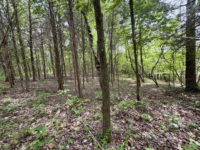 4190 Fattybread Branch Rd, Williamsport, TN 38487