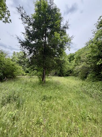 4190 Fattybread Branch Rd, Williamsport, TN 38487