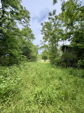 4190 Fattybread Branch Rd, Williamsport, TN 38487