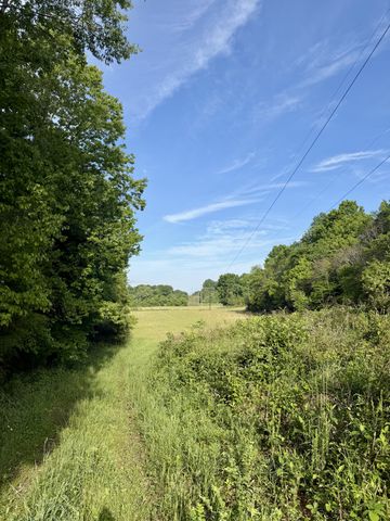 4190 Fattybread Branch Rd, Williamsport, TN 38487