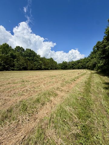 4190 Fattybread Branch Rd, Williamsport, TN 38487